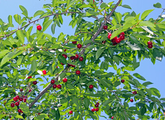 Similar image 1342033