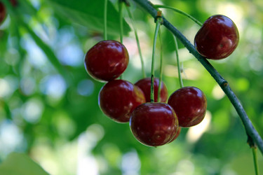 Similar image 1342034