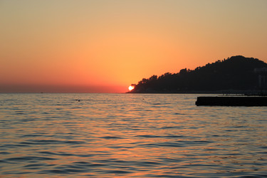 Similar image 1342039