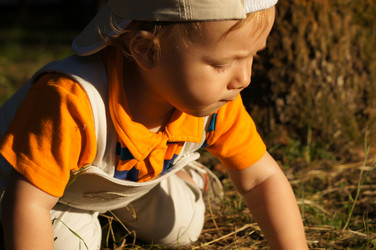 Similar image 1342049