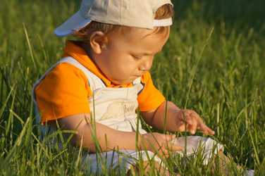 Similar image 1342050