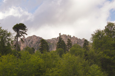 Similar image 1342065