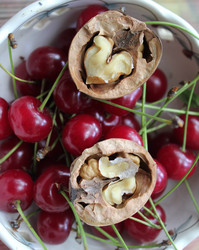 Similar image 1342071