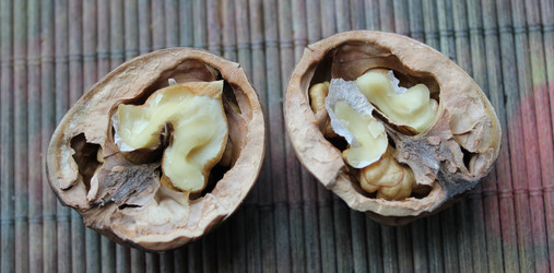 Similar image 1342072