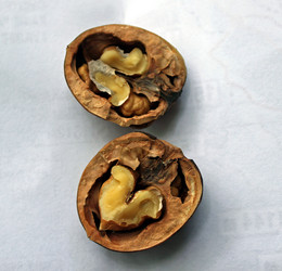 Similar image 1342073