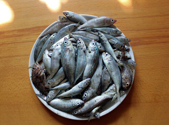 Similar image 1342074