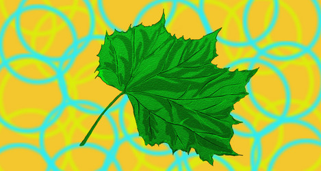 Similar image 1342078