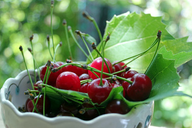 Similar image 1342079