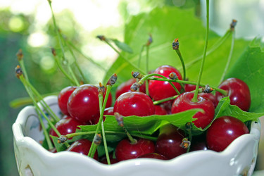 Similar image 1342080