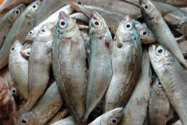 Similar image 1342083