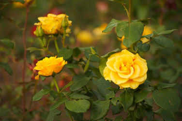 Similar image 1342114