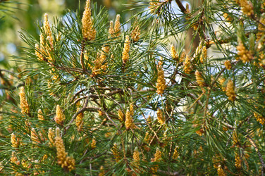 Similar image 1342115