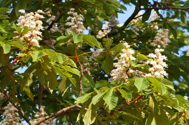 Similar image 1342118