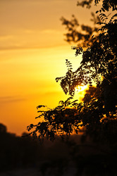 Similar image 1342120