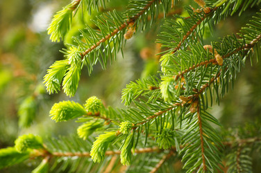 Similar image 1342121