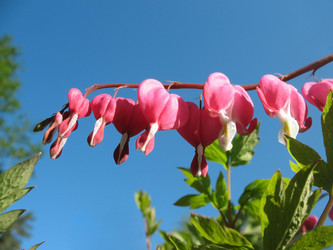 Similar image 1342123