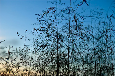 Similar image 1342132