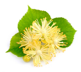 Similar image 1342145