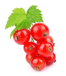 Similar image 1342156