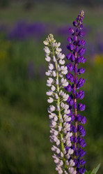 Similar image 1342223