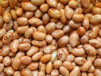 Similar image 1342307