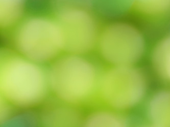 Similar image 1342311