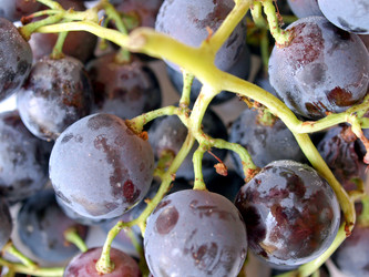 Similar image 1342318