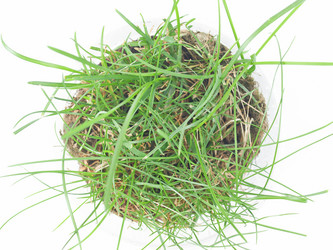 Similar image 1342321