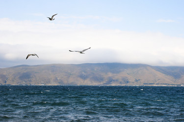 Similar image 1342329