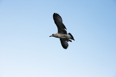 Similar image 1342330