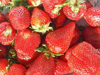 Similar image 1342362