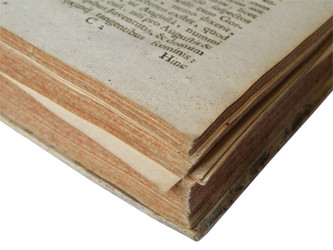 Similar image 1342368