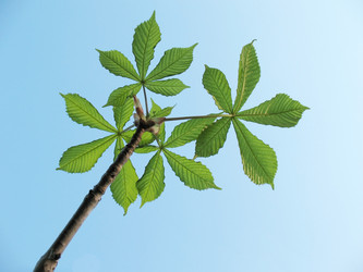 Similar image 1342402