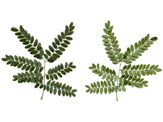 Similar image 1342425