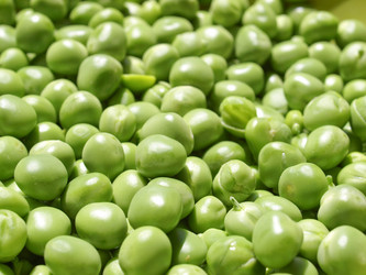 Similar image 1342430