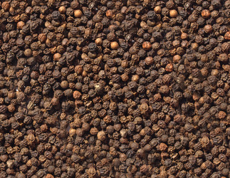 Similar image 1342444