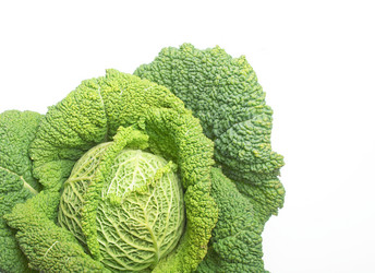 Similar image 1342458