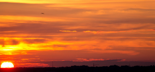 Similar image 1342480