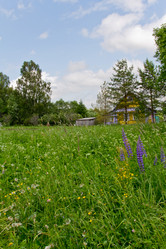 Similar image 1342481