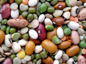 Similar image 1342496