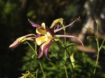 Similar image 1342519