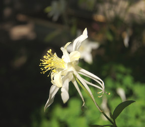 Similar image 1342521