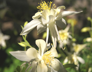 Similar image 1342522