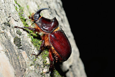 Similar image 1342526