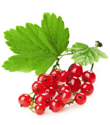 Similar image 1342528