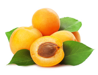 Similar image 1342536