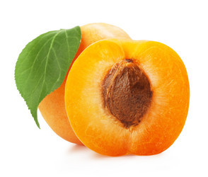 Similar image 1342537