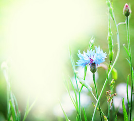 Similar image 1342539