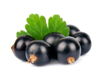 Similar image 1342548