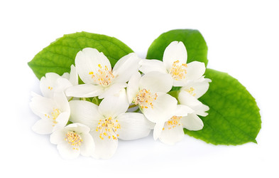 Similar image 1342559